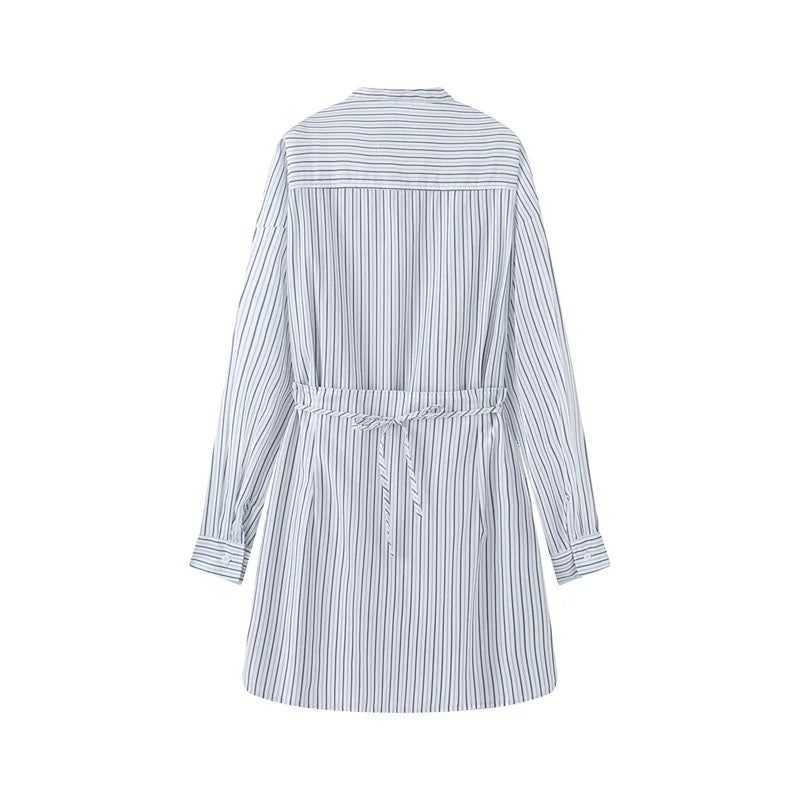 Women's Shirt 2026 Summer New Style Light Blue Striped Long Sleeve Lazy Loose Fit Two-Way Shirt Fashion Vacation Personality